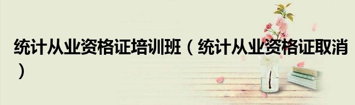 統(tǒng)計從業(yè)資格證培訓(xùn)班(統(tǒng)計從業(yè)資格證取消)
