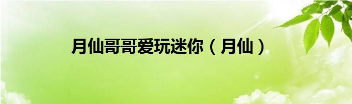 月仙哥哥愛玩迷你（月仙）