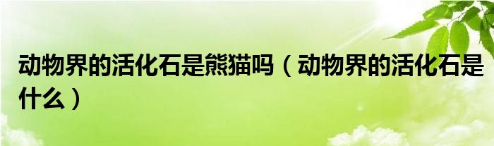 動物界的活化石是熊貓嗎（動物界的活化石是什么）