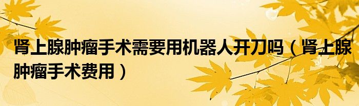 腎上腺腫瘤手術(shù)需要用機(jī)器人開刀嗎（腎上腺腫瘤手術(shù)費(fèi)用）