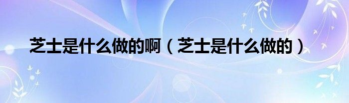 芝士是什么做的啊（芝士是什么做的）