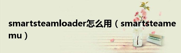 smartsteamloader怎么用（smartsteamemu）