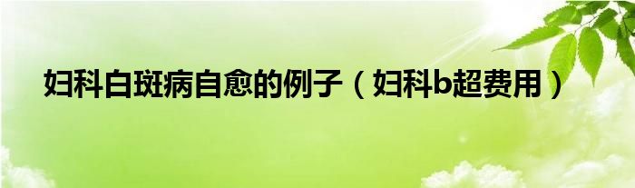 婦科白斑病自愈的例子（婦科b超費用）