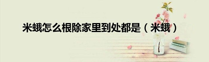 米蛾怎么根除家里到處都是（米蛾）