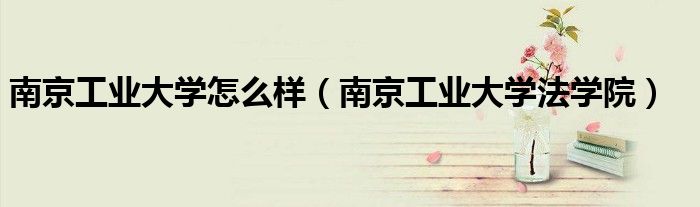 南京工業(yè)大學(xué)怎么樣（南京工業(yè)大學(xué)法學(xué)院）