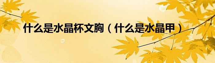 什么是水晶杯文胸（什么是水晶甲）