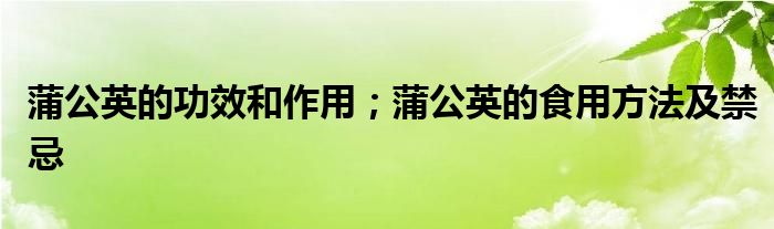蒲公英的功效和作用；蒲公英的食用方法及禁忌