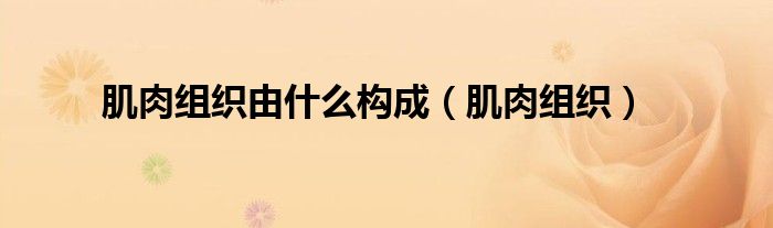 肌肉組織由什么構(gòu)成（肌肉組織）