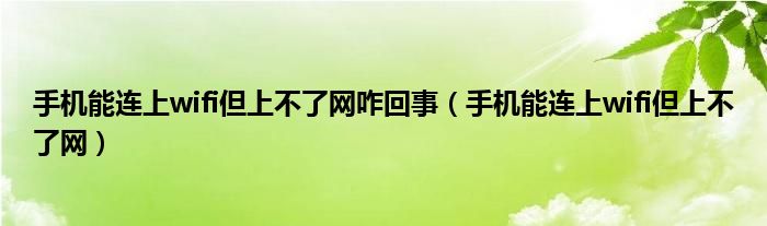 手機(jī)能連上wifi但上不了網(wǎng)咋回事（手機(jī)能連上wifi但上不了網(wǎng)）