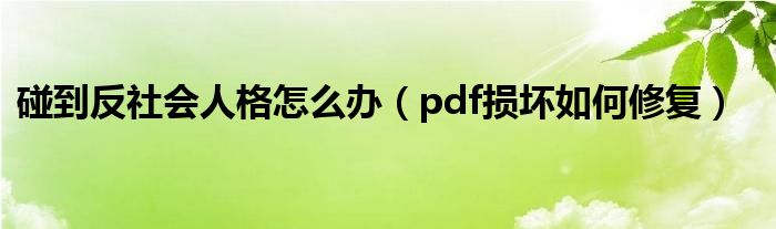 碰到反社會人格怎么辦（pdf損壞如何修復）