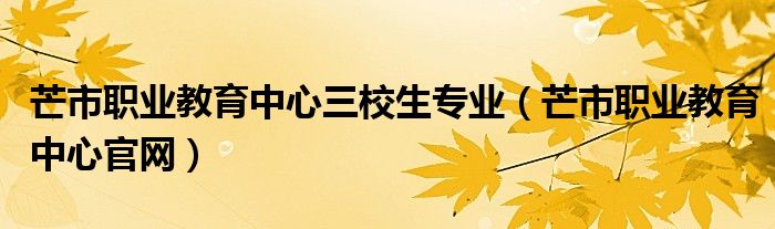 芒市職業(yè)教育中心三校生專業(yè)（芒市職業(yè)教育中心官網(wǎng)）