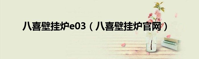 八喜壁掛爐e03(八喜壁掛爐官網)