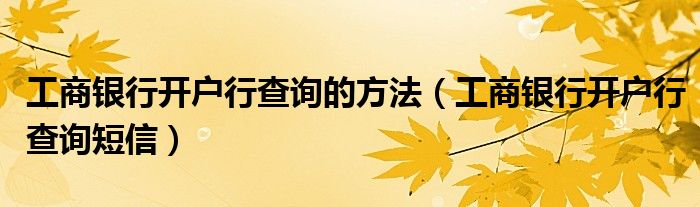 工商銀行開戶行查詢的方法（工商銀行開戶行查詢短信）