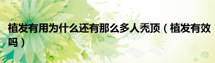 植發(fā)有用為什么還有那么多人禿頂（植發(fā)有效嗎）