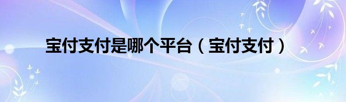 寶付支付是哪個(gè)平臺(tái)(寶付支付)
