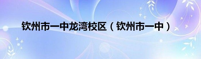 欽州市一中龍灣校區(qū)（欽州市一中）