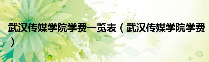 武漢傳媒學(xué)院學(xué)費(fèi)一覽表（武漢傳媒學(xué)院學(xué)費(fèi)）