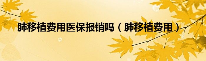 肺移植費(fèi)用醫(yī)保報(bào)銷嗎(肺移植費(fèi)用)