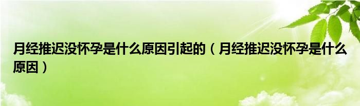 月經(jīng)推遲沒懷孕是什么原因引起的（月經(jīng)推遲沒懷孕是什么原因）