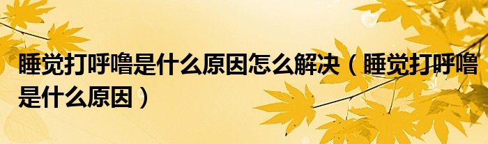 睡覺打呼嚕是什么原因怎么解決（睡覺打呼嚕是什么原因）