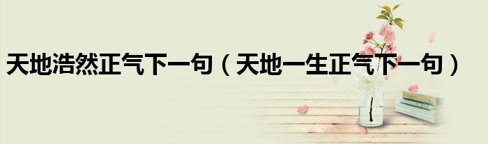 天地浩然正氣下一句（天地一生正氣下一句）