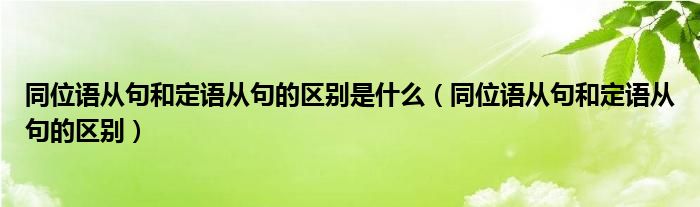 同位語從句和定語從句的區(qū)別是什么（同位語從句和定語從句的區(qū)別）