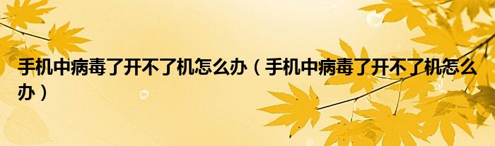手機(jī)中病毒了開(kāi)不了機(jī)怎么辦（手機(jī)中病毒了開(kāi)不了機(jī)怎么辦）