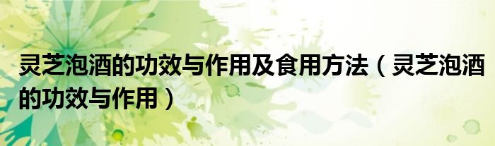 靈芝泡酒的功效與作用及食用方法(靈芝泡酒的功效與作用)