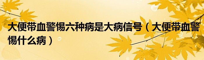 大便帶血警惕六種病是大病信號（大便帶血警惕什么?。?class='thumb lazy' /></a>
		    <header>
		<h2><a  href=