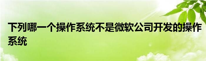 下列哪一個(gè)操作系統(tǒng)不是微軟公司開發(fā)的操作系統(tǒng)