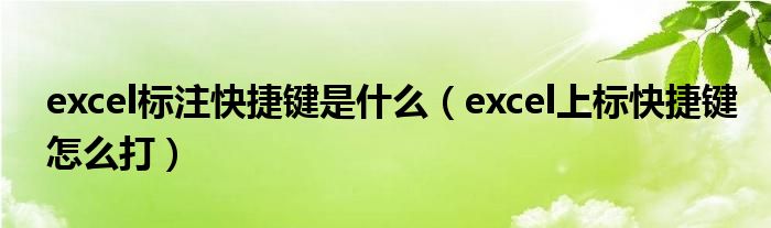 excel標(biāo)注快捷鍵是什么（excel上標(biāo)快捷鍵怎么打）
