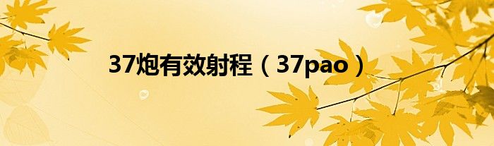 37炮有效射程（37pao）
