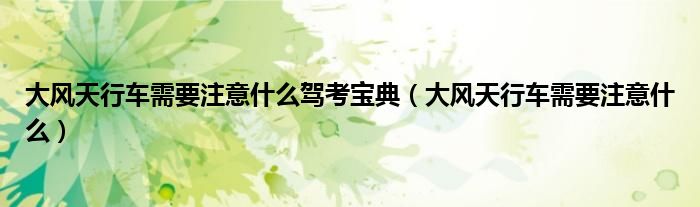大風(fēng)天行車需要注意什么駕考寶典（大風(fēng)天行車需要注意什么）