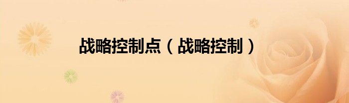 戰(zhàn)略控制點(diǎn)（戰(zhàn)略控制）