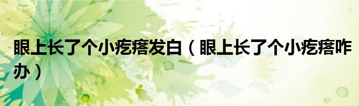 眼上長了個小疙瘩發(fā)白（眼上長了個小疙瘩咋辦）