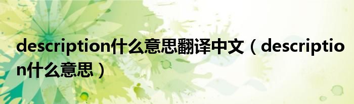 description什么意思翻譯中文（description什么意思）