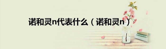 諾和靈n代表什么（諾和靈n）