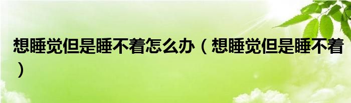 想睡覺但是睡不著怎么辦（想睡覺但是睡不著）