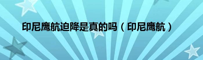 印尼鷹航迫降是真的嗎（印尼鷹航）