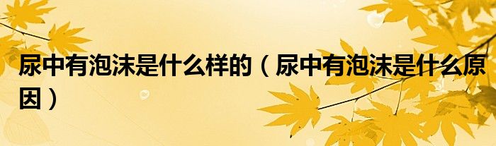 尿中有泡沫是什么樣的（尿中有泡沫是什么原因）