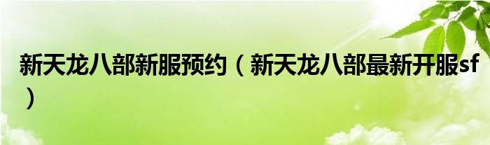 新天龍八部新服預(yù)約（新天龍八部最新開服sf）
