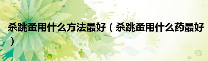 殺跳蚤用什么方法最好（殺跳蚤用什么藥最好）