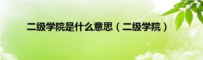 二級(jí)學(xué)院是什么意思（二級(jí)學(xué)院）
