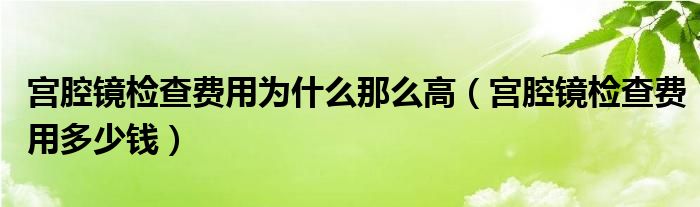 宮腔鏡檢查費用為什么那么高（宮腔鏡檢查費用多少錢）