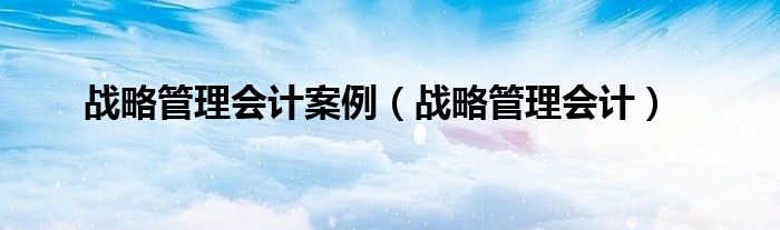 戰(zhàn)略管理會計案例（戰(zhàn)略管理會計）