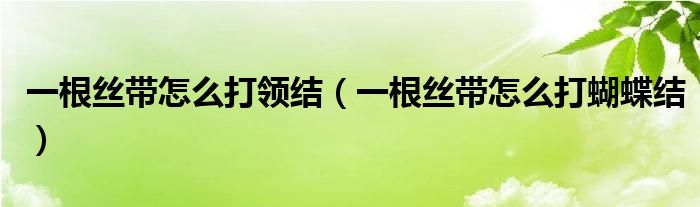 一根絲帶怎么打領(lǐng)結(jié)（一根絲帶怎么打蝴蝶結(jié)）