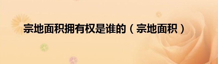 宗地面積擁有權是誰的（宗地面積）