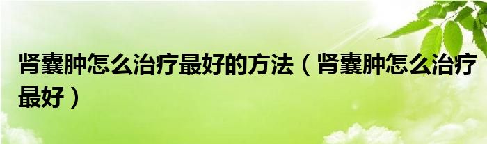 腎囊腫怎么治療最好的方法(腎囊腫怎么治療最好)