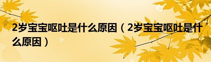 2歲寶寶嘔吐是什么原因（2歲寶寶嘔吐是什么原因）