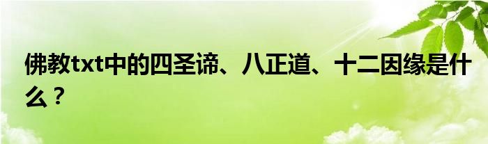 佛教txt中的四圣諦、八正道、十二因緣是什么？